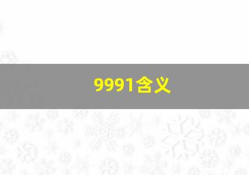 9991含义