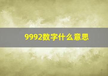 9992数字什么意思