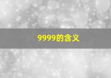 9999的含义