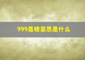 999是啥意思是什么