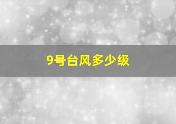 9号台风多少级