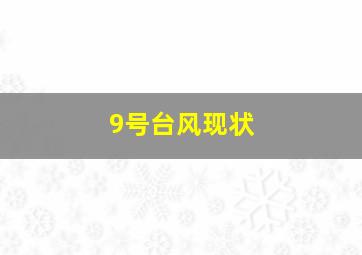 9号台风现状