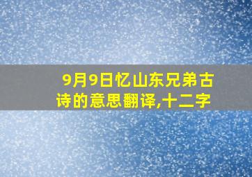 9月9日忆山东兄弟古诗的意思翻译,十二字