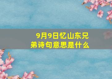 9月9日忆山东兄弟诗句意思是什么