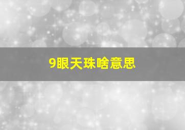 9眼天珠啥意思