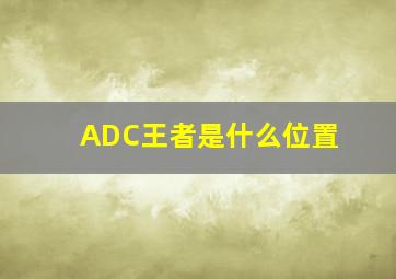 ADC王者是什么位置