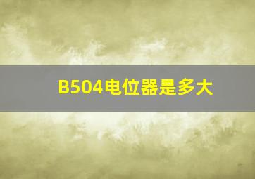 B504电位器是多大