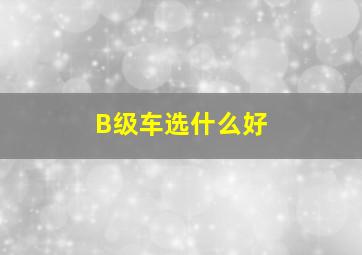 B级车选什么好