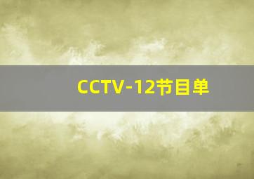 CCTV-12节目单