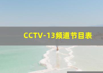 CCTV-13频道节目表