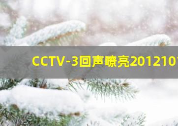 CCTV-3回声嘹亮20121019