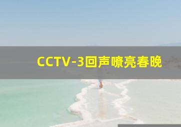 CCTV-3回声嘹亮春晚