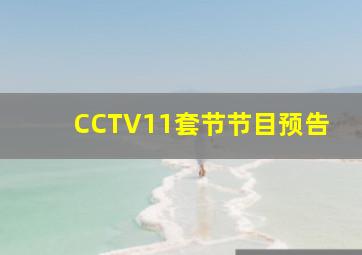 CCTV11套节节目预告