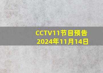 CCTV11节目预告2024年11月14日