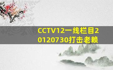 CCTV12一线栏目20120730打击老赖