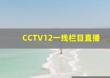 CCTV12一线栏目直播