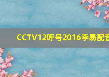 CCTV12呼号2016李易配音