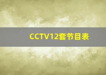 CCTV12套节目表