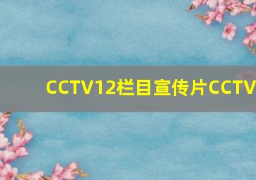 CCTV12栏目宣传片CCTV8