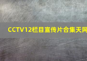 CCTV12栏目宣传片合集天网