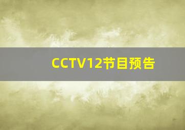 CCTV12节目预告