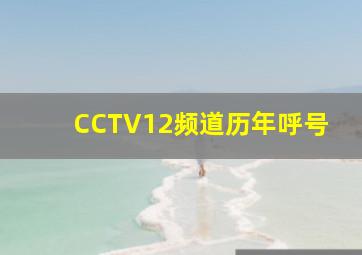 CCTV12频道历年呼号