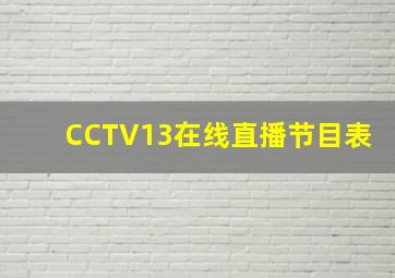 CCTV13在线直播节目表