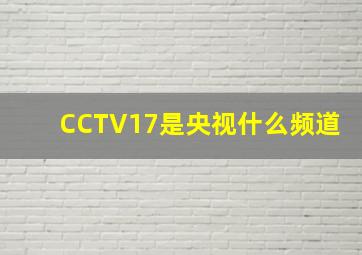 CCTV17是央视什么频道