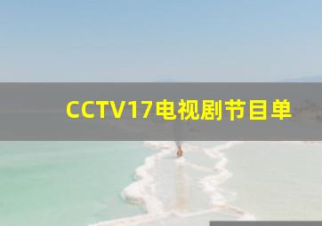 CCTV17电视剧节目单