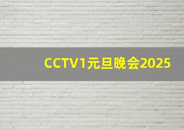 CCTV1元旦晚会2025