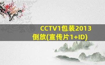 CCTV1包装2013倒放(宣传片1+ID)