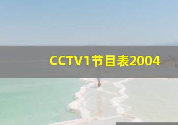 CCTV1节目表2004