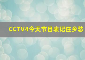 CCTV4今天节目表记住乡愁