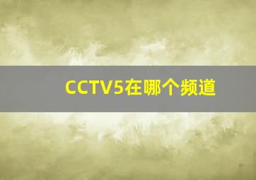 CCTV5在哪个频道