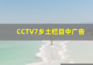 CCTV7乡土栏目中广告