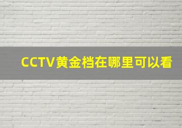 CCTV黄金档在哪里可以看