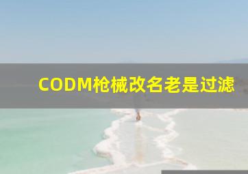 CODM枪械改名老是过滤