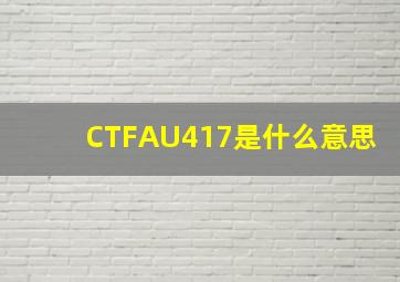 CTFAU417是什么意思