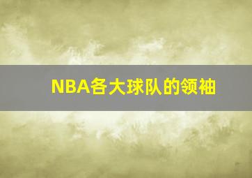 NBA各大球队的领袖