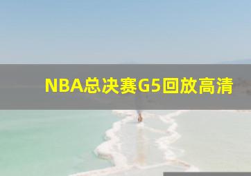 NBA总决赛G5回放高清