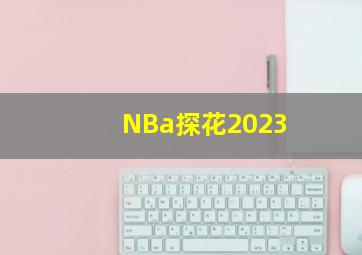 NBa探花2023