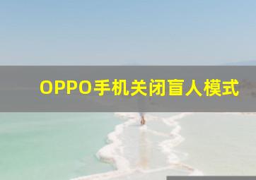 OPPO手机关闭盲人模式