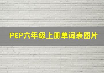 PEP六年级上册单词表图片