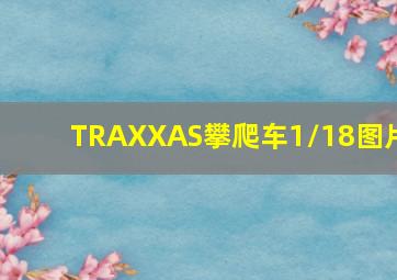 TRAXXAS攀爬车1/18图片