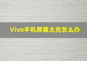 Vivo手机屏幕太亮怎么办