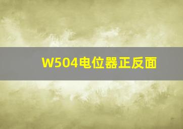 W504电位器正反面