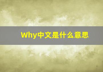 Why中文是什么意思