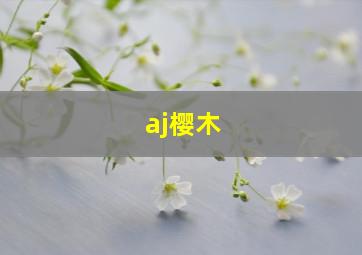 aj樱木