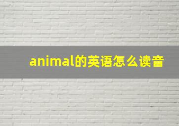 animal的英语怎么读音