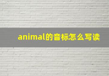 animal的音标怎么写读